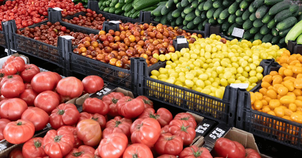 Colorful vegetables display of tomatoes and cucumbers in crates