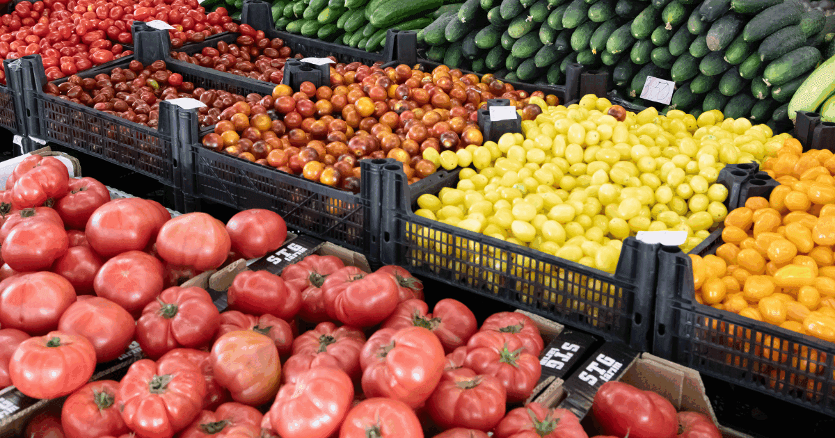 Colorful vegetables display of tomatoes and cucumbers in crates