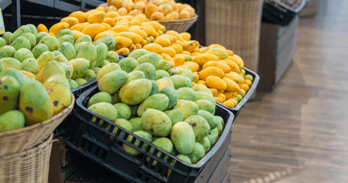 Crates of ripe Mangoes