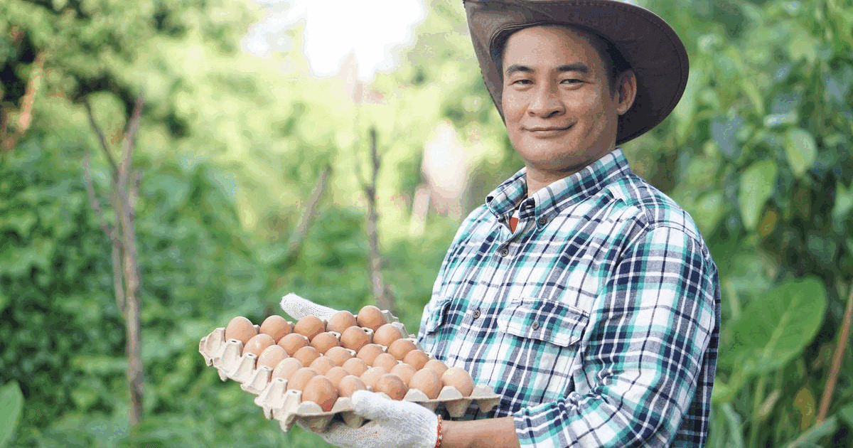 Smiling egg farmer holding a tray of fresh brown eggs outdoors